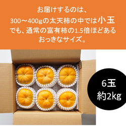 【ご予約受付＊11月中旬発送開始】「甘ジューシー」太天柿　６個入り 3枚目の画像