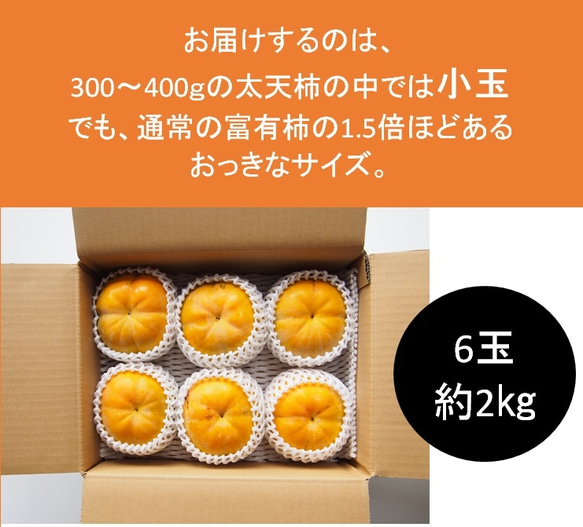 【ご予約受付＊11月中旬発送開始】「甘ジューシー」太天柿　６個入り 3枚目の画像