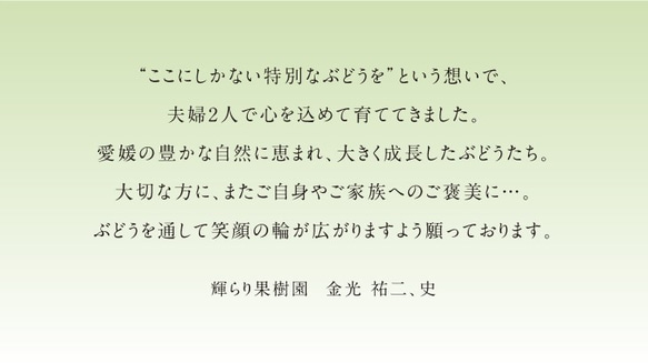 【送料無料】秋ぶどう新顔の３種Bセット　約２kg（9月上旬〜9月20日発送） 6枚目の画像