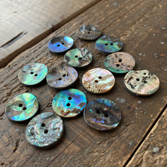 Paua Abalone/ボタン/パウア貝/孔雀貝/アワビ貝/20mm/7個⑩ ボタン