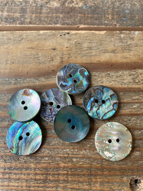 Paua Abalone/ボタン/パウア貝/孔雀貝/アワビ貝/20mm/7個⑩ 6枚目の画像