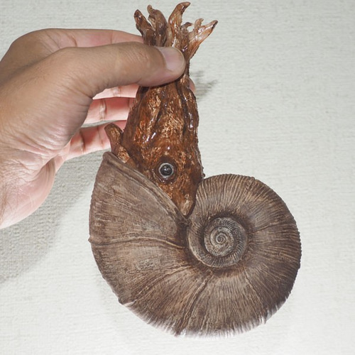 アンモナイトとれた！ 絶滅種ゴードリセラスの模型 全長19cm 殻径13cm