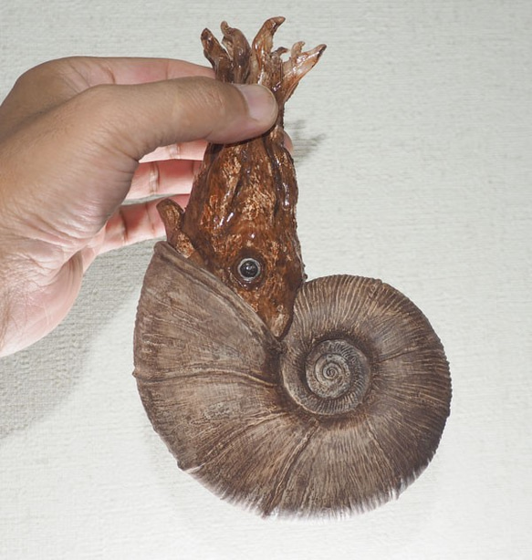 アンモナイトとれた！ 絶滅種ゴードリセラスの模型 全長19cm 殻