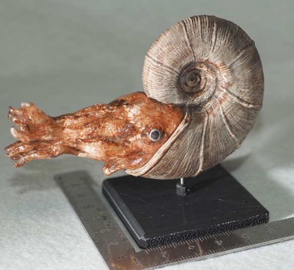 ゴードリセラスの模型 小 大きさ6.5cm その他置物 syu3zouk 通販