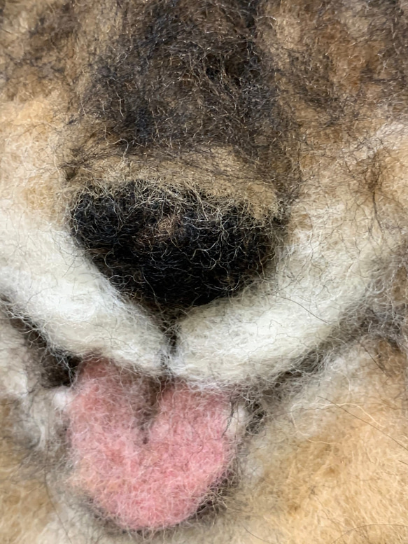羊毛フェルト　犬ポートレート　オーダーメイド　肖像画　30cm×30cm 3枚目の画像