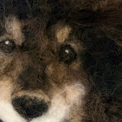 羊毛フェルト　犬ポートレート　オーダーメイド　肖像画　30cm×30cm 4枚目の画像
