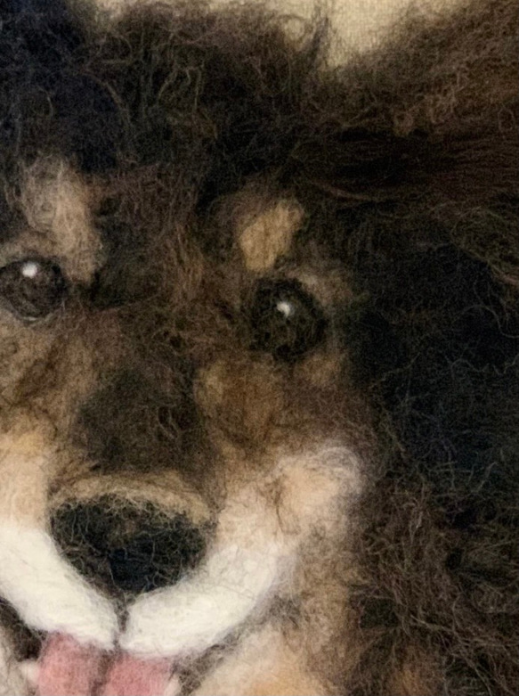 羊毛フェルト　犬ポートレート　オーダーメイド　肖像画　30cm×30cm 4枚目の画像