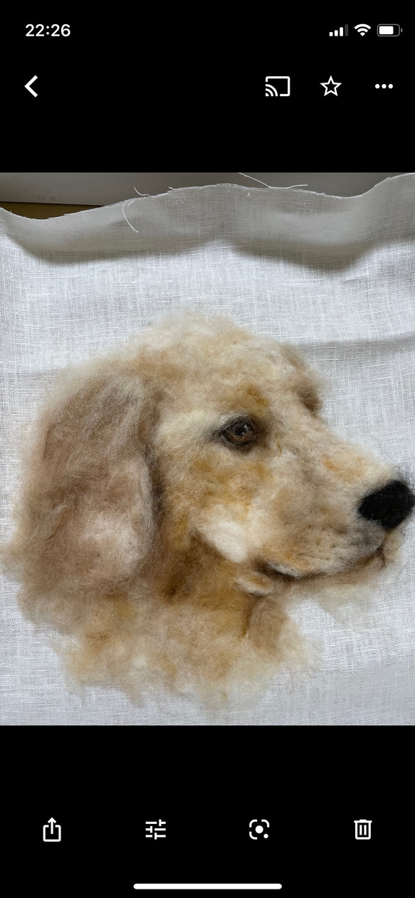羊毛フェルト　犬ポートレート　オーダーメイド　肖像画 5枚目の画像