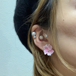 ≪jewelry.Polaris≫ 桜 Chery Blossom スタッドピアス・イヤリング【受注製作】 5枚目の画像