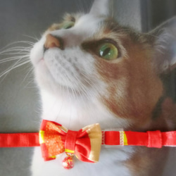 明るい赤色と黄緑ラインの猫さんの首輪 8枚目の画像