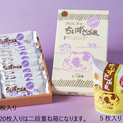 【館山名物】ちいずさぶれ【贈答用20枚入り】敬老の日のギフトにもどうぞ 3枚目の画像