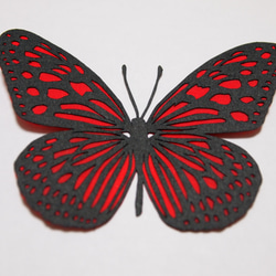 蝶々（赤） 1枚目の画像