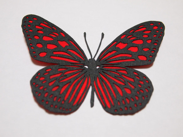 蝶々（赤） 1枚目の画像