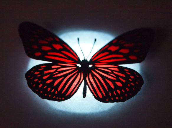 蝶々（赤） 3枚目の画像
