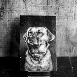 大理石レーザー写真彫刻・メモリアルプレート 5枚目の画像