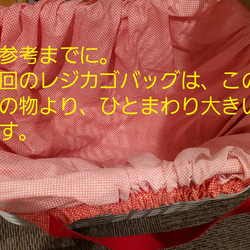 便利な詰替え不要の【レジカゴにすっぽり収まる【特大サイズ】のレジカゴバッグ】 3枚目の画像