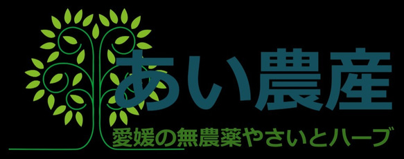 【農薬・除草剤不使用】掘りたてほっこりじゃがいも(2kg) 2枚目の画像