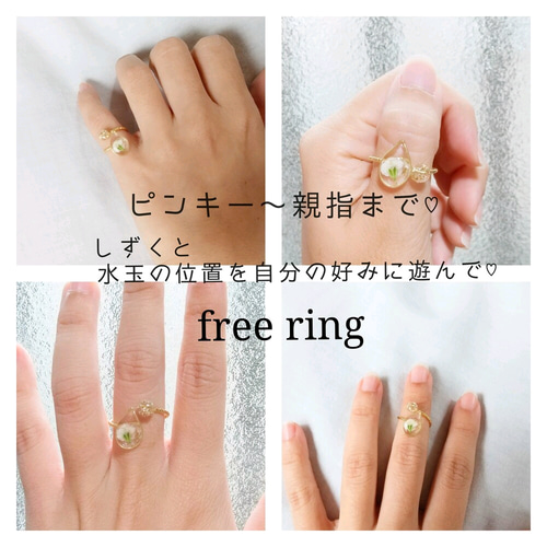 華やかring】押し花の指輪 かすみ草 リング フリーリング 透明 クリア