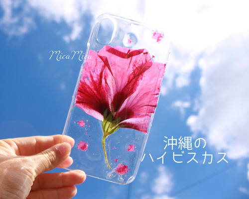 フラワーロック　ハイビスカス　未使用 61fgMp+MbCL._AC_SY200_QL15_.jpg