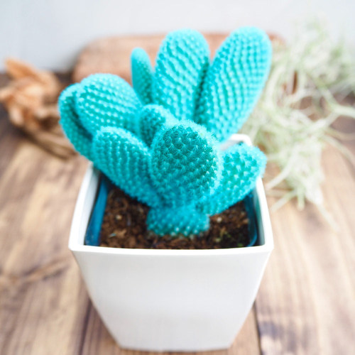 ミントのバニーカクタス』かわいい☆サボテン☆プレゼント☆誕生日