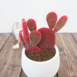 3_5254a4b6431fe05b83cfec2c1633