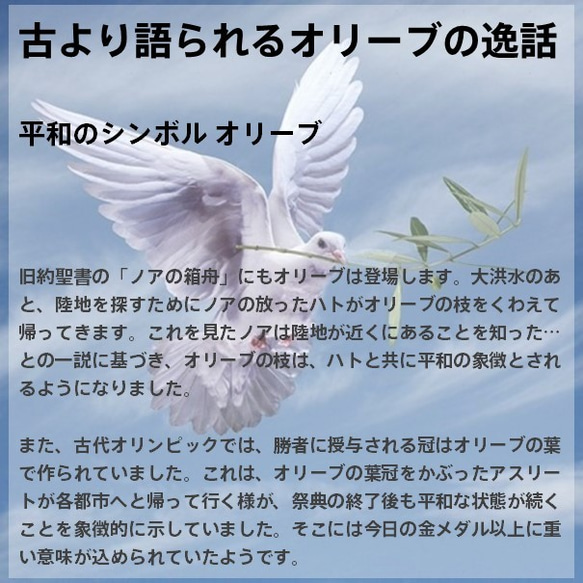 『オリーブの苔玉』伝説の樹★苔玉★繁栄と平和★プレゼント★インテリア★観葉植物★送料無料 7枚目の画像