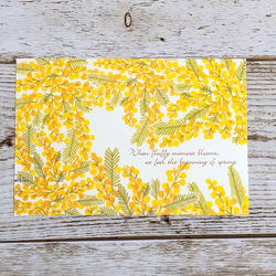 ミモザ】ポストカード3枚組 ポストカード maimy-sketchbook 通販