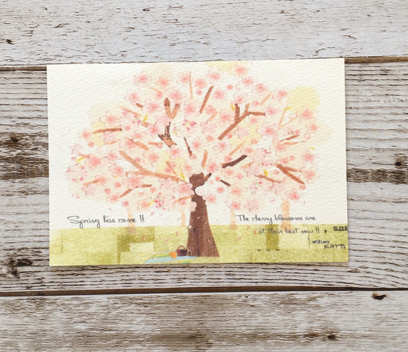 【桜の木の下で】ポストカード3枚組 1枚目の画像