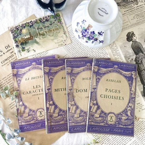 1930年 セピア地に紫の装丁が美しいフランスの本 アンティーク