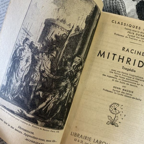 1930年 セピア地に紫の装丁が美しいフランスの本 アンティーク