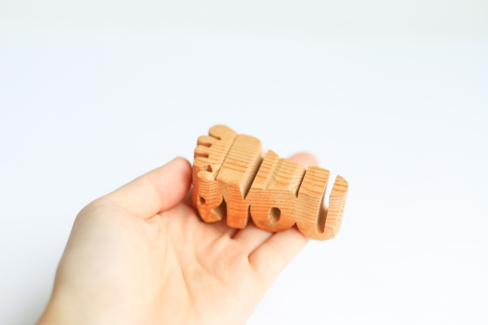 世界で一つだけの贈り物『ippoo』