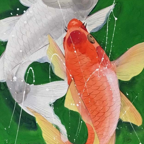 生命力溢れる手描きの吉祥画 「夫婦鯉の滝登り」 Lサイズ(大衣