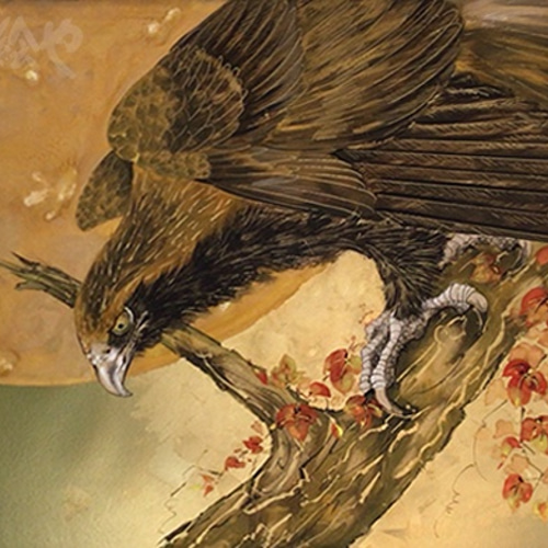 豪華で上品な迫力☆手描き原画「錦秋鷹ノ図/きいかわ宗圓」 LL