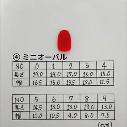 Creema限定
フラワーデザインチップセット 9枚目の画像