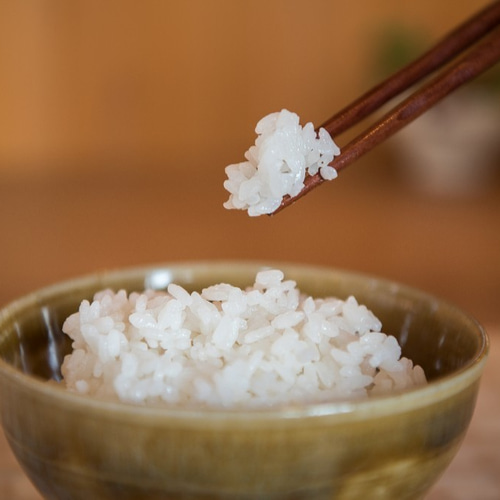 自然栽培米イセヒカリ白米10kg～品格あるお米本来のシンプルな