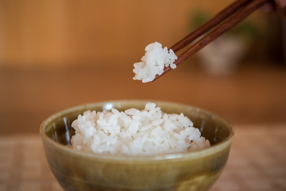 自然栽培米イセヒカリ白米10kg～品格あるお米本来のシンプルな味わい～ 3枚目の画像