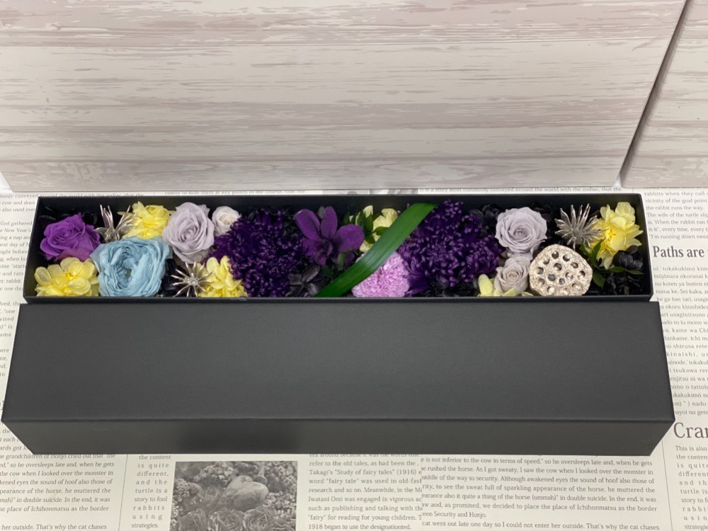 Hokulani(Purple Anastasia)