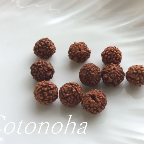 ルドラクシャ（菩提樹の実）10mm《10粒1セット》500円 その他素材 