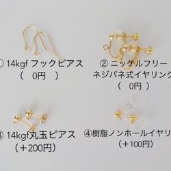 five colors ＊天然石のロングチェーンシリーズ【14kgf/pierce or earring】 5枚目の画像