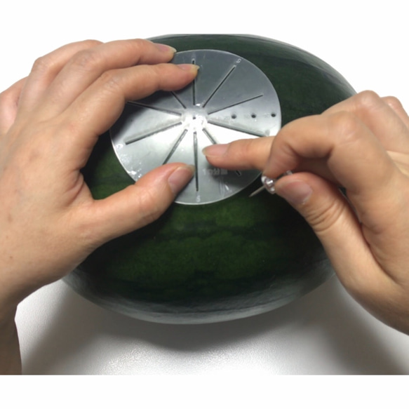 【等分定規・分割スケール】ソープカービング・フルーツカービングの制作にあると便利な道具。カービング以外の制作にもご使用く 3枚目の画像