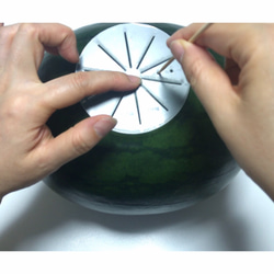 【等分定規・分割スケール】ソープカービング・フルーツカービングの制作にあると便利な道具。カービング以外の制作にもご使用く 4枚目の画像