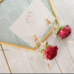 スワロフスキークリスタル × リトルウッズ 青薔薇 ピアス（その他