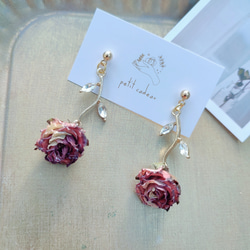 ツートン薔薇 薔薇ピアス イヤリング ピアス（その他） ぷちかどー 