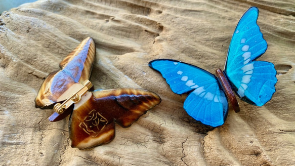 木製蝶々ブローチ　メネラウスモルフォ 9枚目の画像