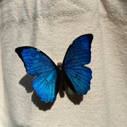 木製蝶々ブローチ　メネラウスモルフォ 4枚目の画像