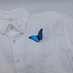 木製蝶々ブローチ　メネラウスモルフォ（飛翔） 5枚目の画像