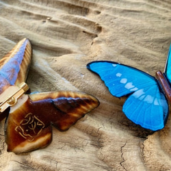 木製蝶々ブローチ　フルニエラミイロタテハ 7枚目の画像