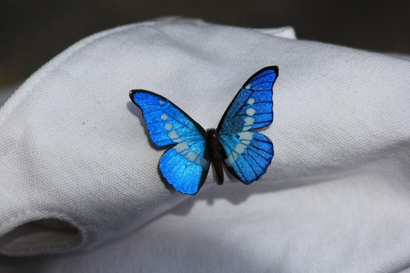 木製蝶々ブローチ二匹セット　キプリスモルフォ・ヘレナモルフォ　展翅バージョン 4枚目の画像
