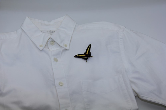 木製蝶々ブローチ　タスキアゲハ飛翔 5枚目の画像