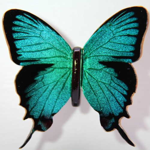 木製蝶々標本ブローチ 「オオクジャクシジミ/thecla regalis